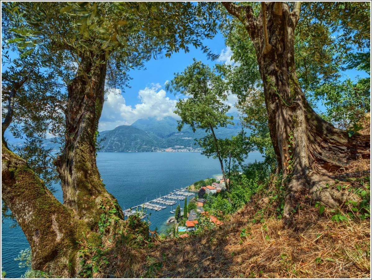 Fantastica Casa Poppo Apartment Bellano Luaran gambar